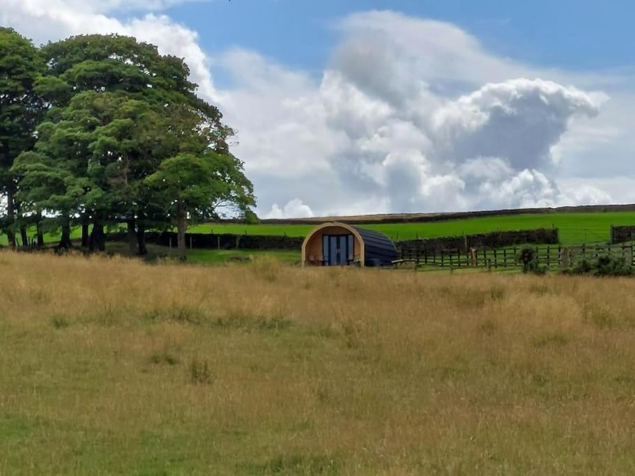 High Whashton Springs Glamping Pod, Richmond Yorks Apartment Luaran gambar